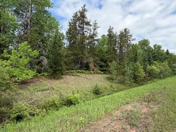 40Ac S. M-123, Trout Lake, MI 49793