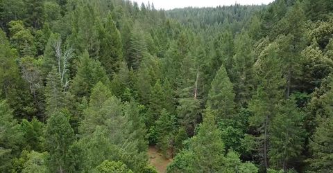99 Quail Hill Ln, North San Juan, CA 95960 Photo