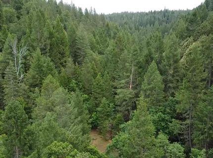 99 Quail Hill Ln, North San Juan, CA 95960 Photo