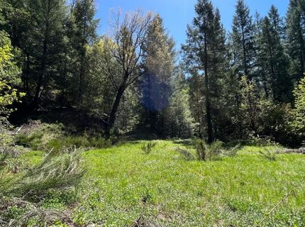 99 Quail Hill Ln, North San Juan, CA 95960 Photo