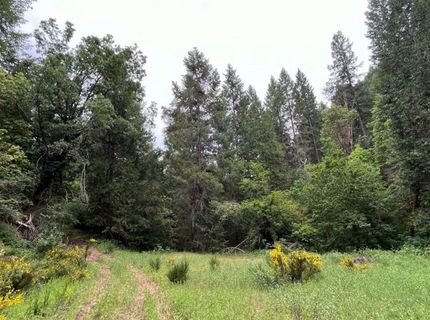 99 Quail Hill Ln, North San Juan, CA 95960 Photo