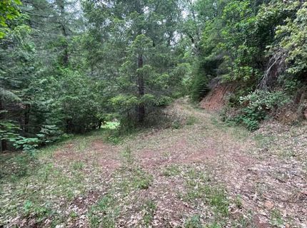 99 Quail Hill Ln, North San Juan, CA 95960 Photo