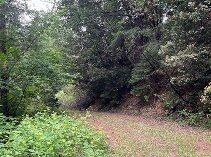 99 Quail Hill Ln, North San Juan, CA 95960 Photo
