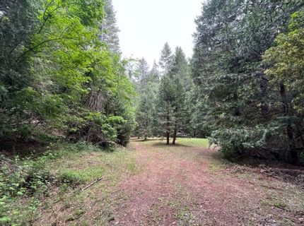 99 Quail Hill Ln, North San Juan, CA 95960 Photo