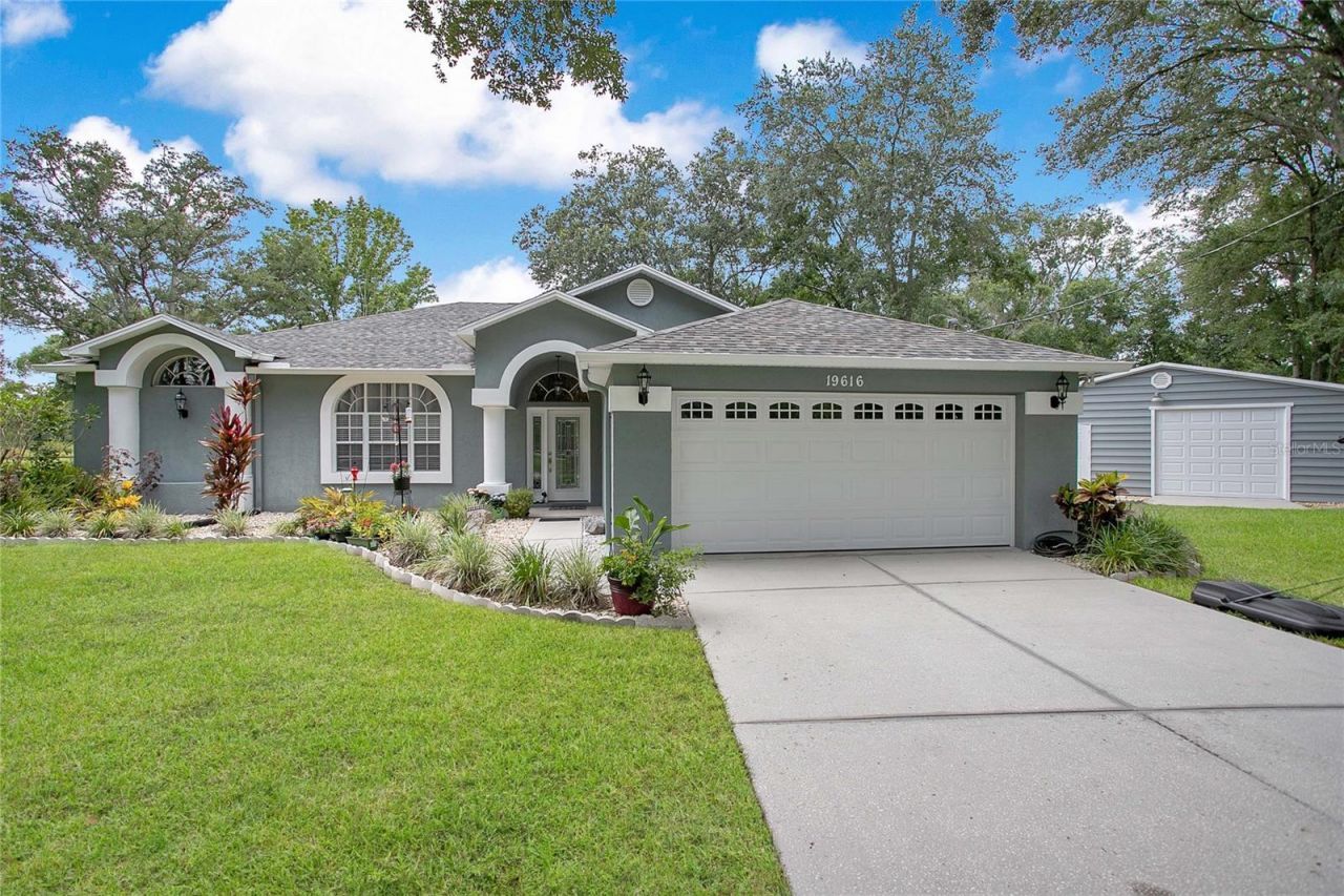 19616 Livingston Avenue , Lutz, FL 33559 Photo