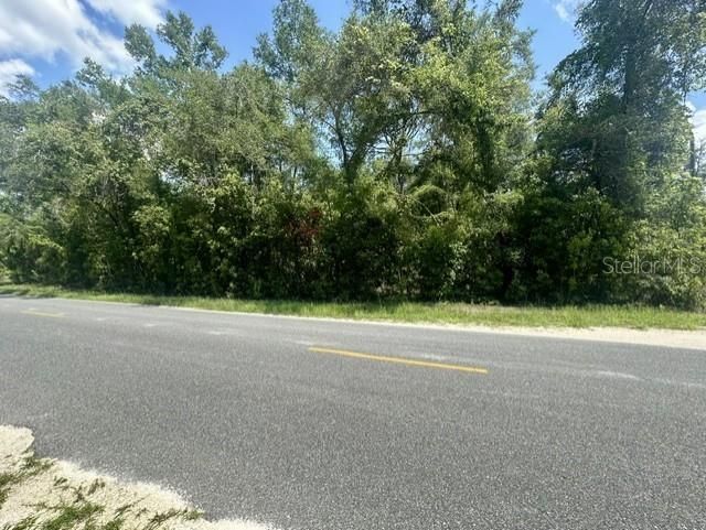 284th Street, Branford, FL 32008 Photo
