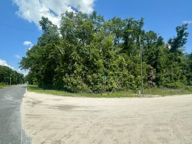 284th Street, Branford, FL 32008 Photo