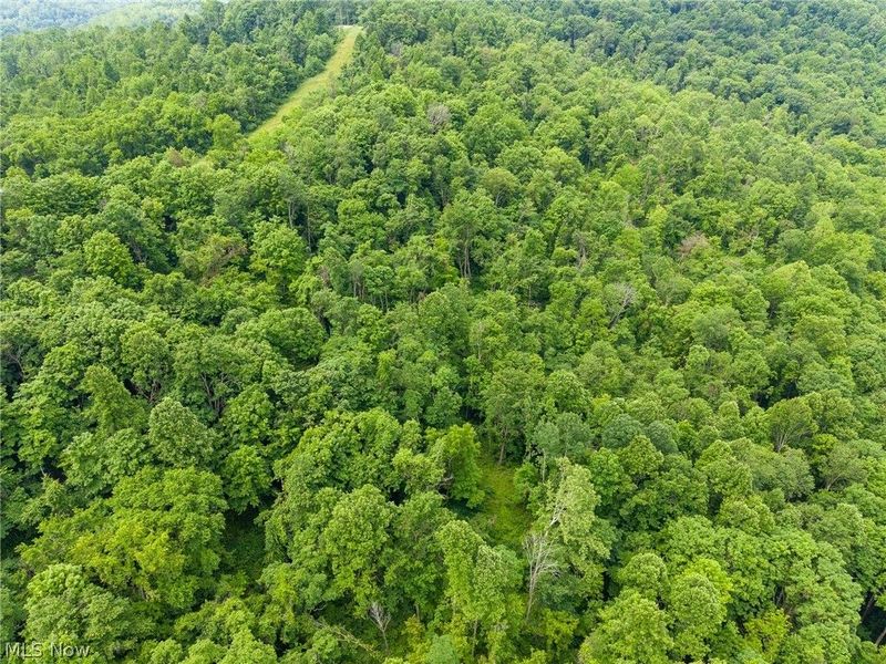Kinnen Road , Caldwell, OH 43724 Photo 10
