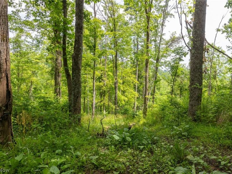 Kinnen Road , Caldwell, OH 43724 Photo 12