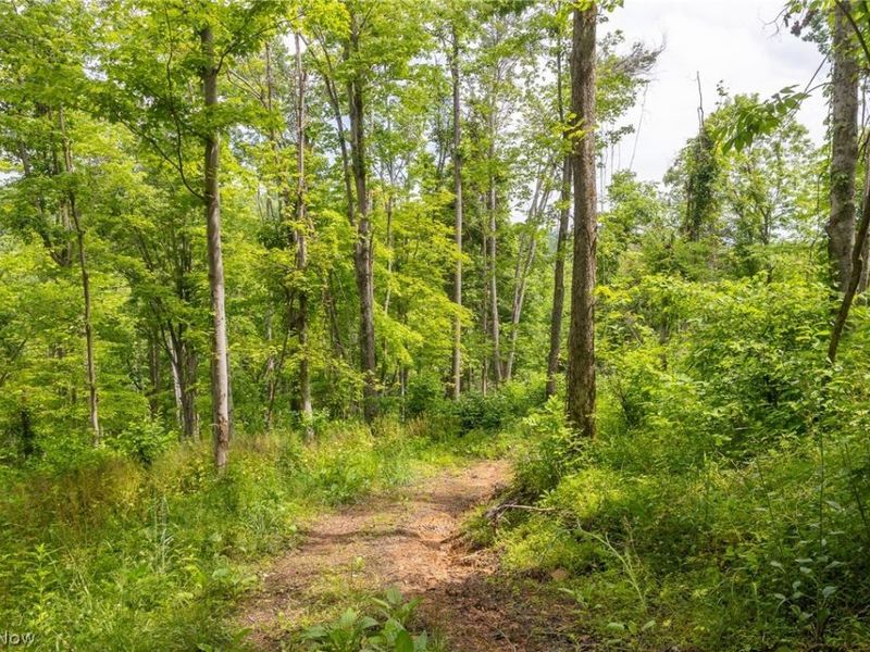 Kinnen Road , Caldwell, OH 43724 Photo 13