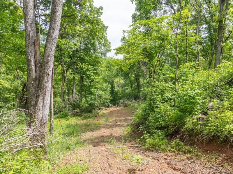 Kinnen Road , Caldwell, OH 43724 Photo 14