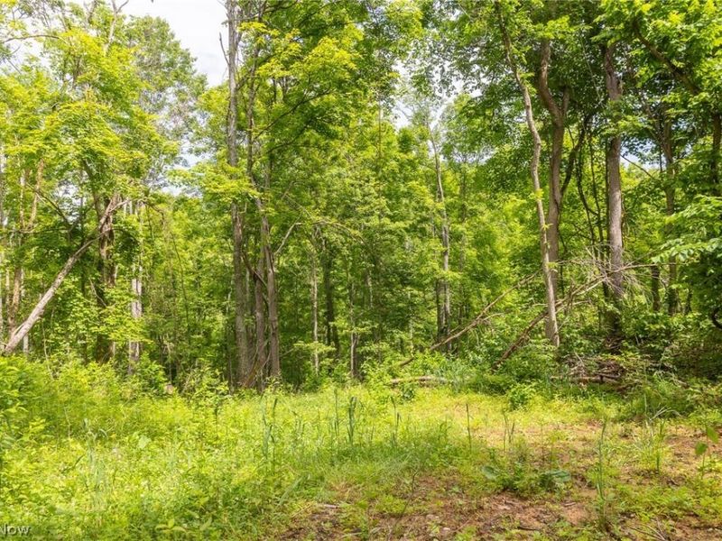 Kinnen Road , Caldwell, OH 43724 Photo 15