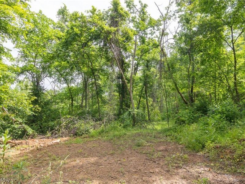 Kinnen Road , Caldwell, OH 43724 Photo 16