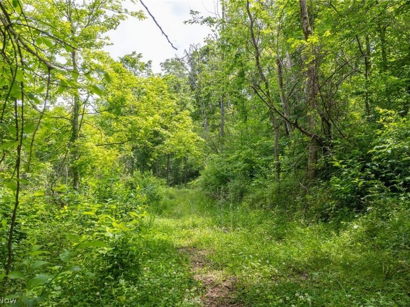 Kinnen Road , Caldwell, OH 43724 Photo 17