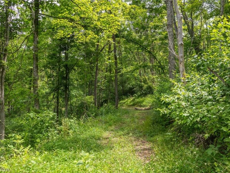 Kinnen Road , Caldwell, OH 43724 Photo 18