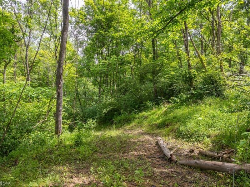 Kinnen Road , Caldwell, OH 43724 Photo 19