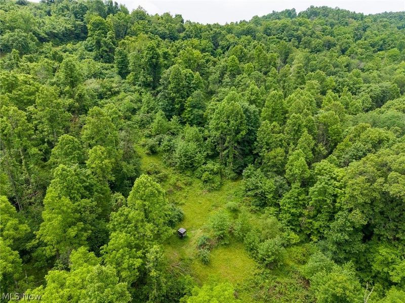Kinnen Road , Caldwell, OH 43724 Photo 2