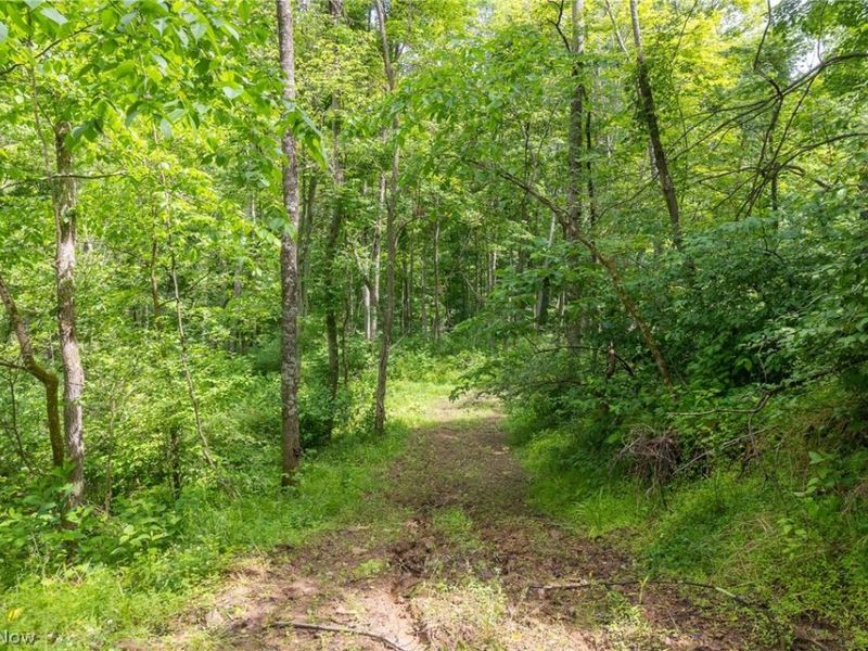 Kinnen Road , Caldwell, OH 43724 Photo 20