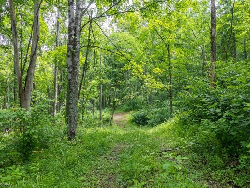Kinnen Road , Caldwell, OH 43724 Photo 21