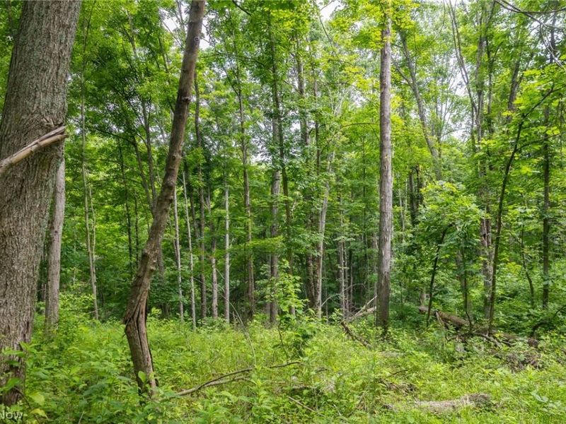 Kinnen Road , Caldwell, OH 43724 Photo 23