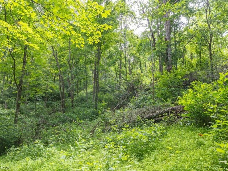 Kinnen Road , Caldwell, OH 43724 Photo 24