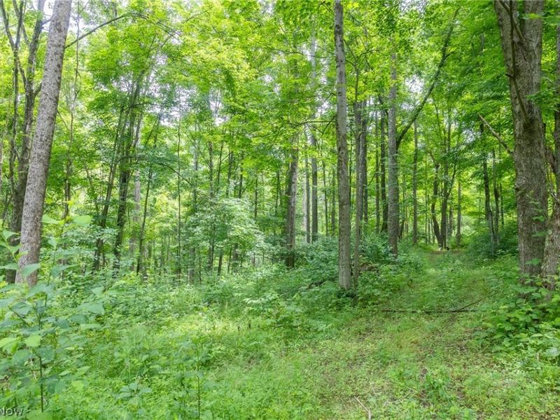 Kinnen Road , Caldwell, OH 43724 Photo 25