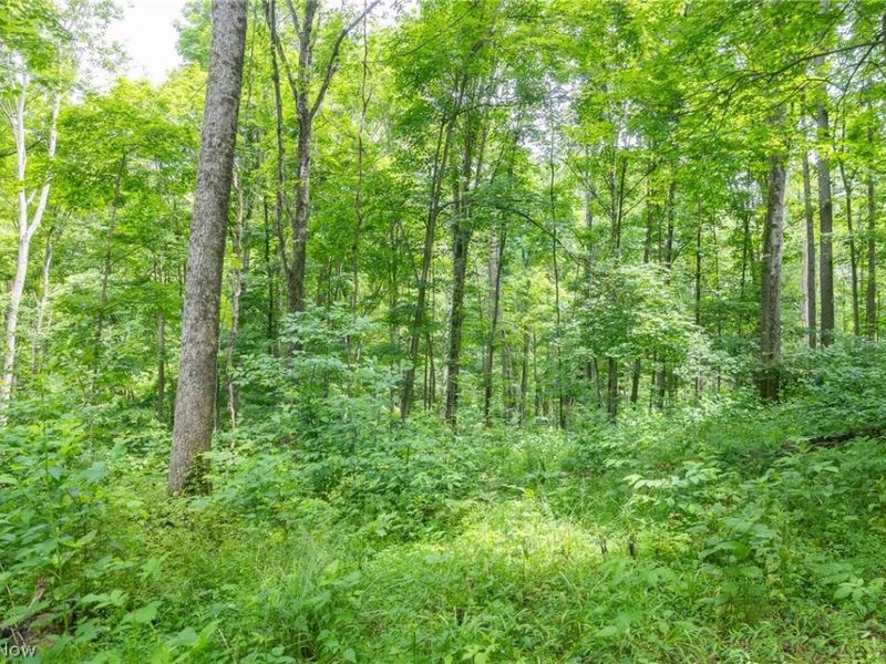 Kinnen Road , Caldwell, OH 43724 Photo 26