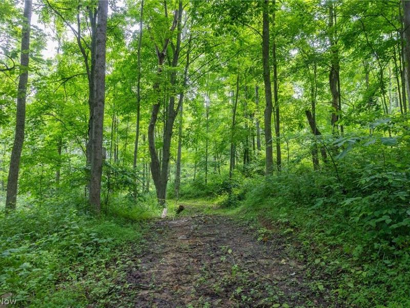 Kinnen Road , Caldwell, OH 43724 Photo 27