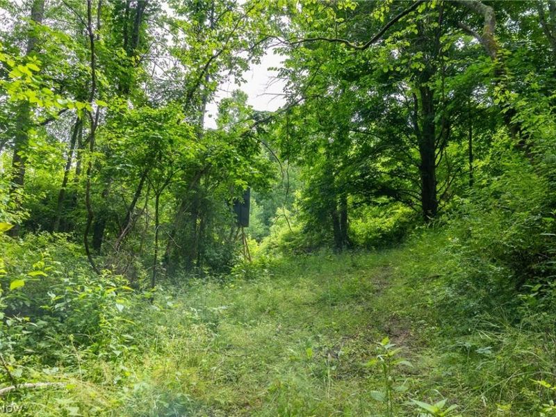 Kinnen Road , Caldwell, OH 43724 Photo 29