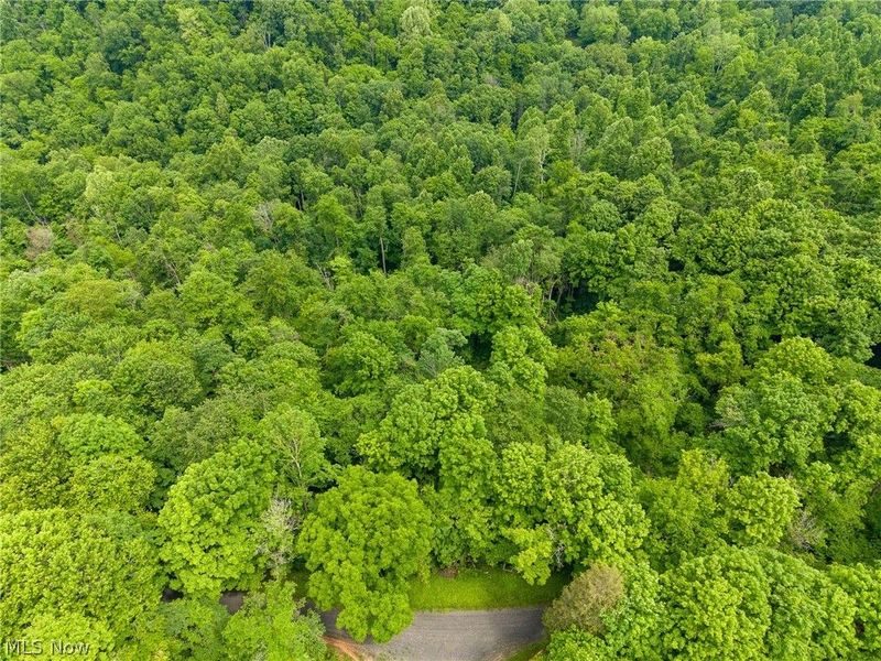 Kinnen Road , Caldwell, OH 43724 Photo 32
