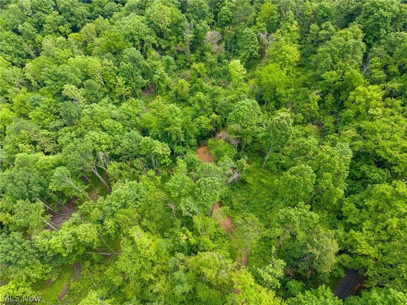 Kinnen Road , Caldwell, OH 43724 Photo 34