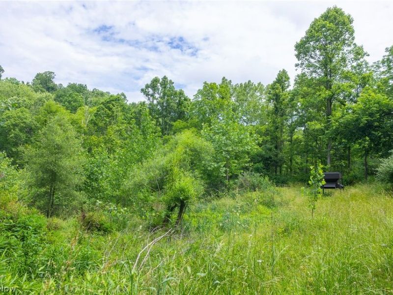 Kinnen Road , Caldwell, OH 43724 Photo 6