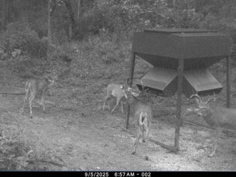 Kinnen Road , Caldwell, OH 43724 Photo 7