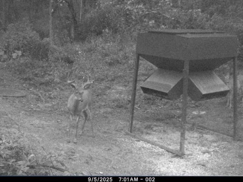 Kinnen Road , Caldwell, OH 43724 Photo 8