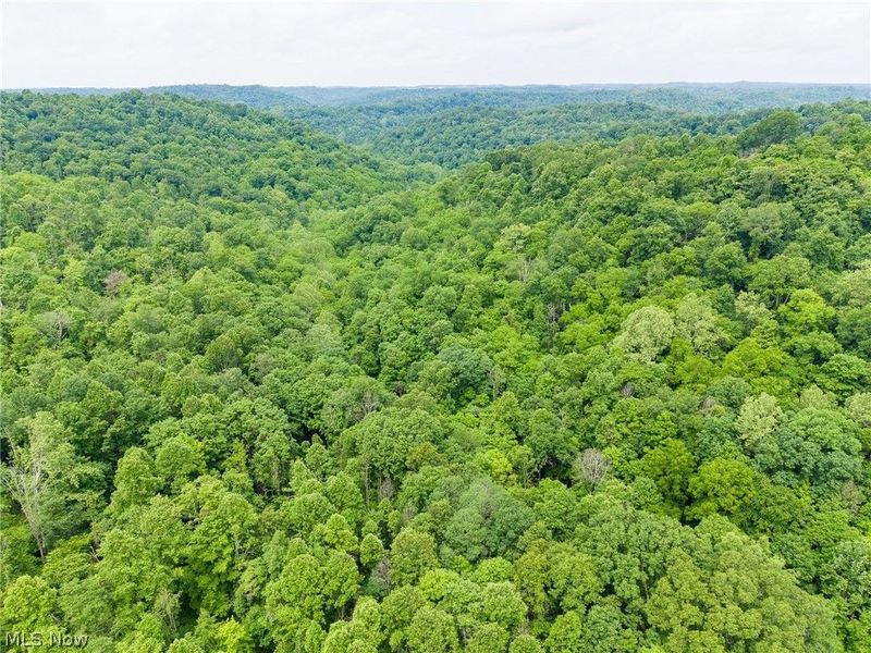 Kinnen Road , Caldwell, OH 43724 Photo 9