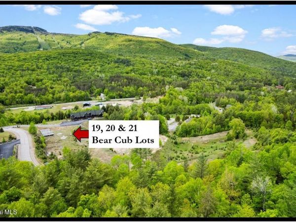 19, 20, 21 Bear Cub Drive, North Creek, NY 12853