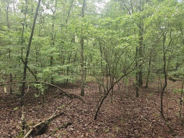 00 Glorieto Way , Hot Springs Village, AR 71909