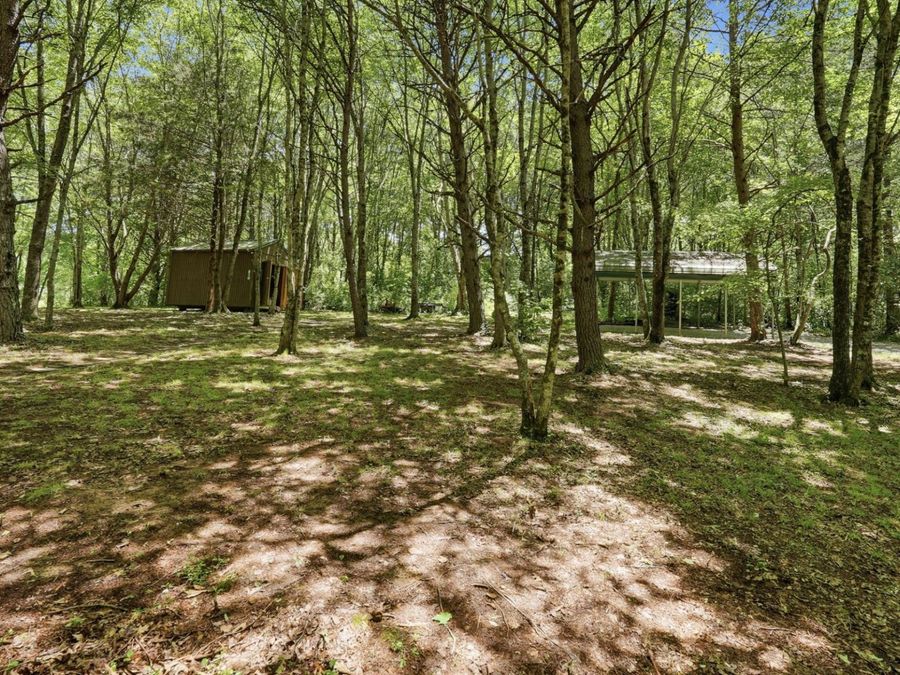 Property Image 38