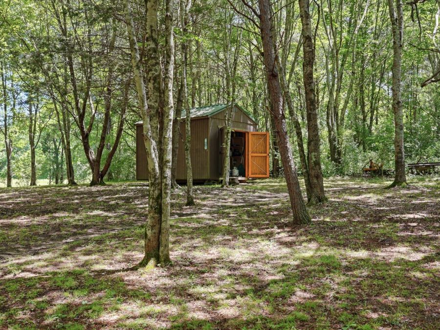 Property Image 41