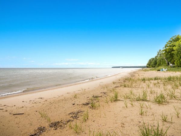 2856 Birchview Drive, Kewadin, MI 00000
