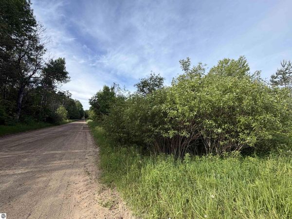 9540 McKinley Avenue S, Lake, MI 48632