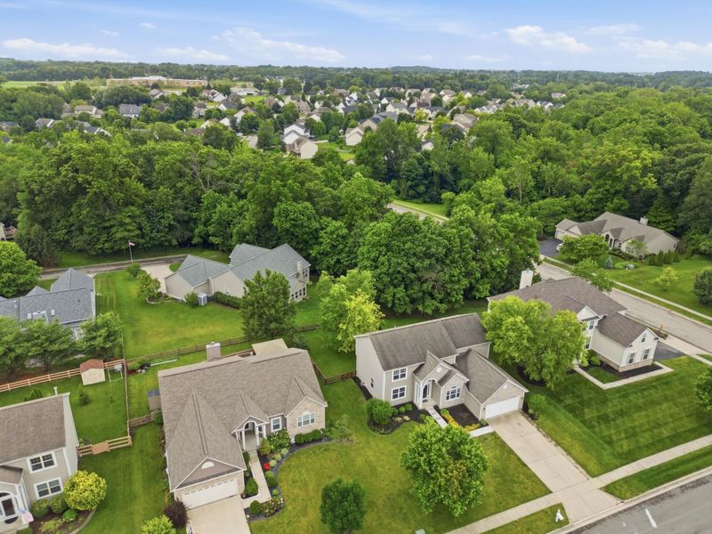 2830 Abbey Knoll Drive, Lewis Center, OH 43035 Photo 41