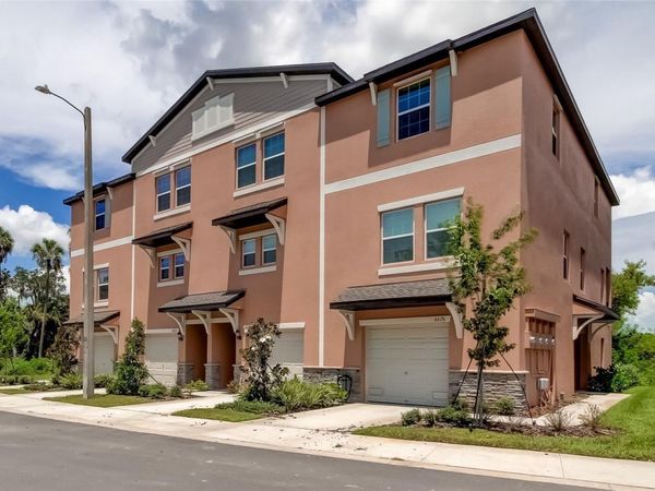 4626 WILLET COOPER COURT , TAMPA, FL 33619