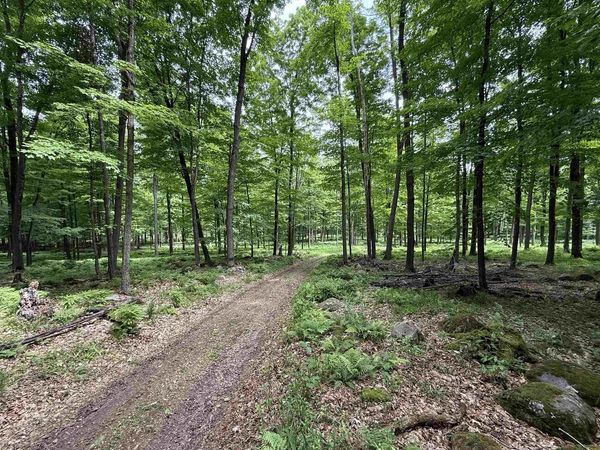 N7794 KOLPACK LANE, Bowler, WI 54416