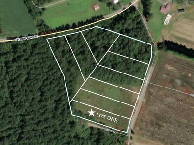 Lot 1 Dantzler Road, Harleyville, SC 29448