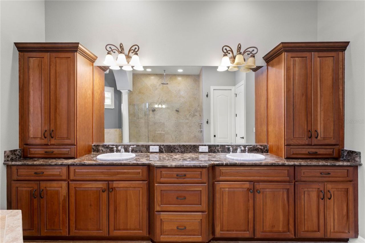 6459 Rubia Circle, Apollo Beach, FL 33572 Photo
