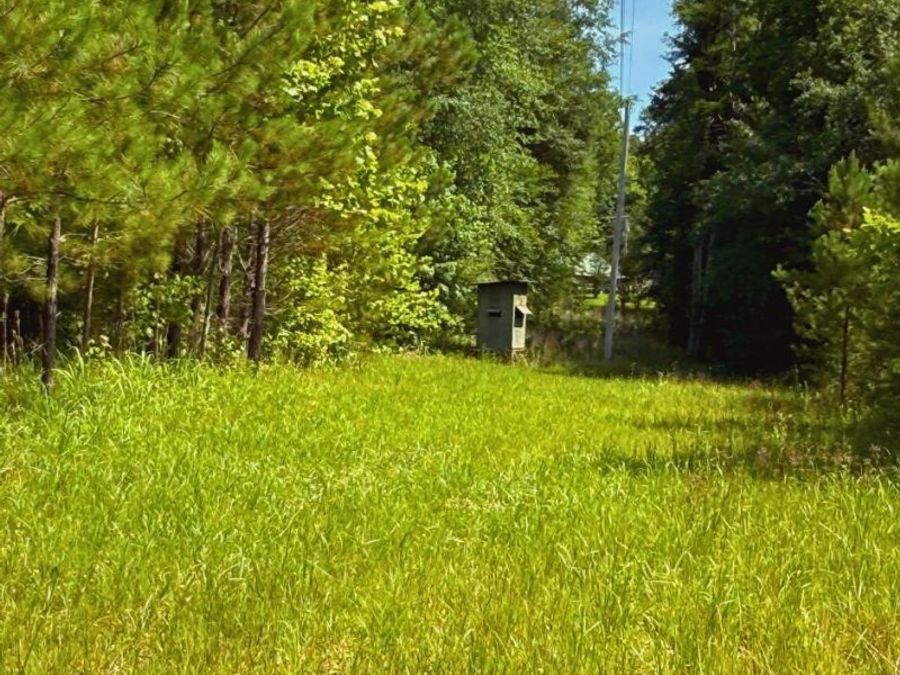 Property Image 24