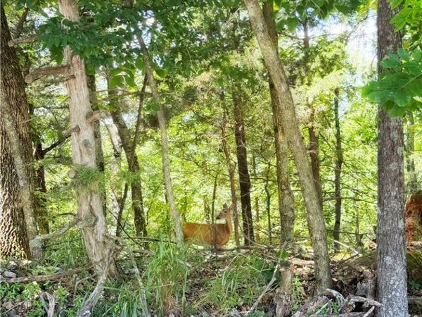 Lot 94 Oak Leaf Circle, Garfield, AR 72732