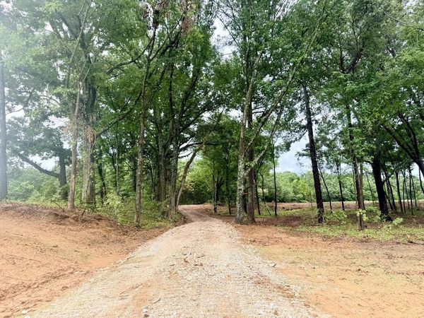 0 YOUNG CEMETARY RD, Gadsden, TN 38337