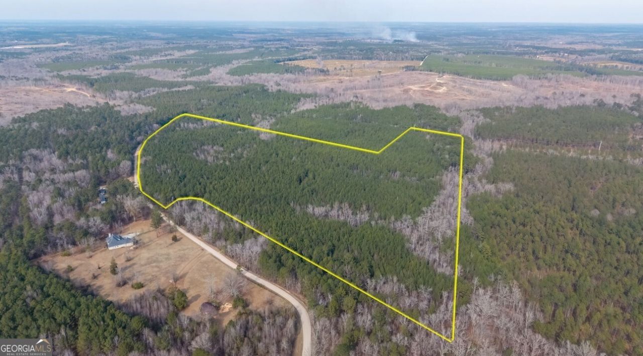 0 Saint Mary's Road, Lot #A, Crawfordville, GA 30631 Main Photo